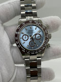 Seiko Daytona Mod - Platinum on Burgundy